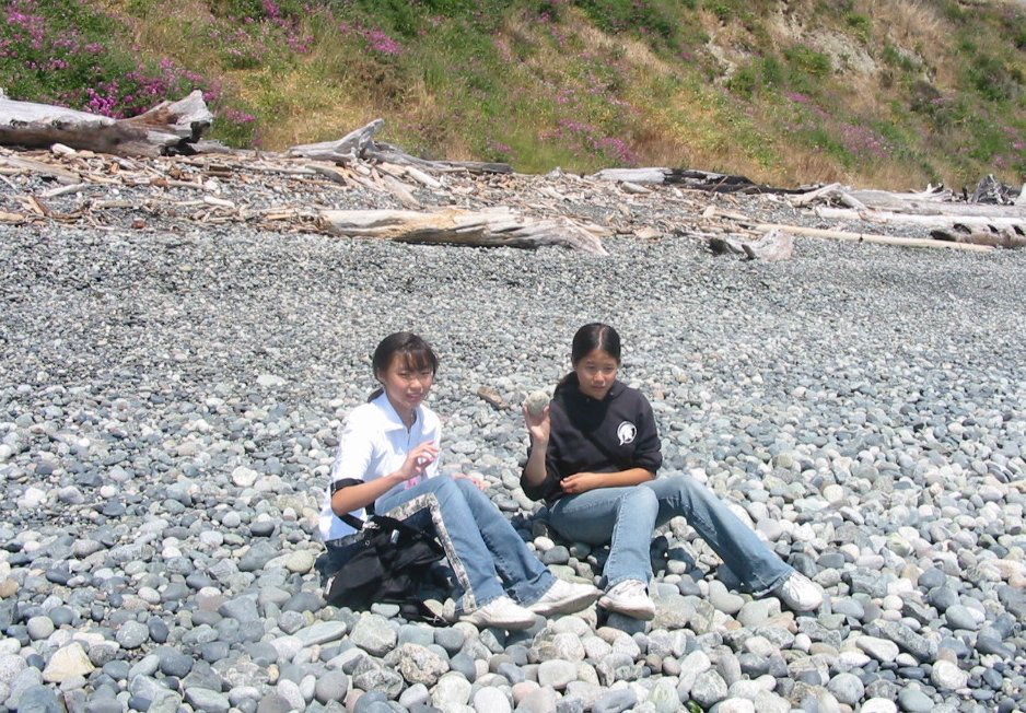 Beach 17.jpg